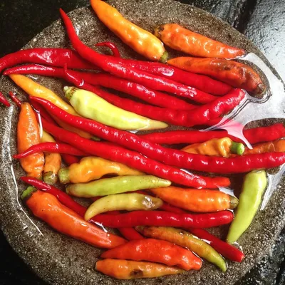 Salsa Chilisaucen authentisch Mexikanisch