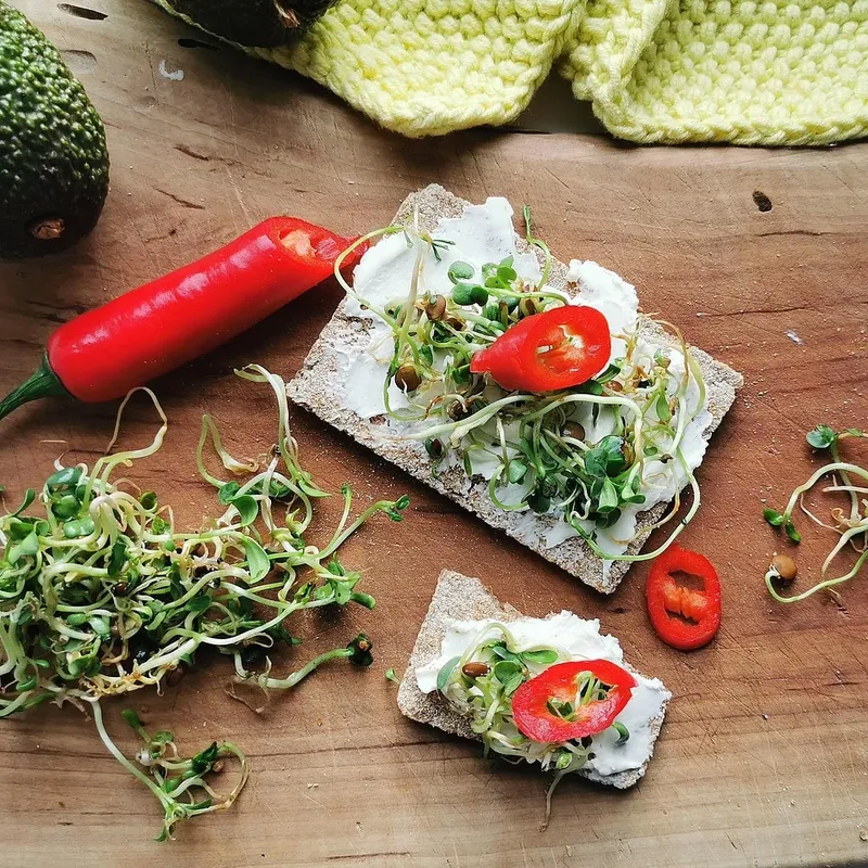 Avocado Snack