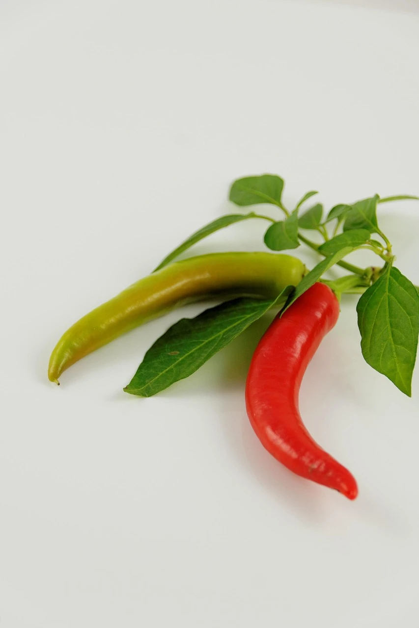 Marktstand mit frischen Chilis Marktstand mit frischen Chilis