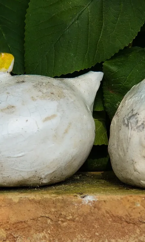 Maracuja-Apfel Huhn